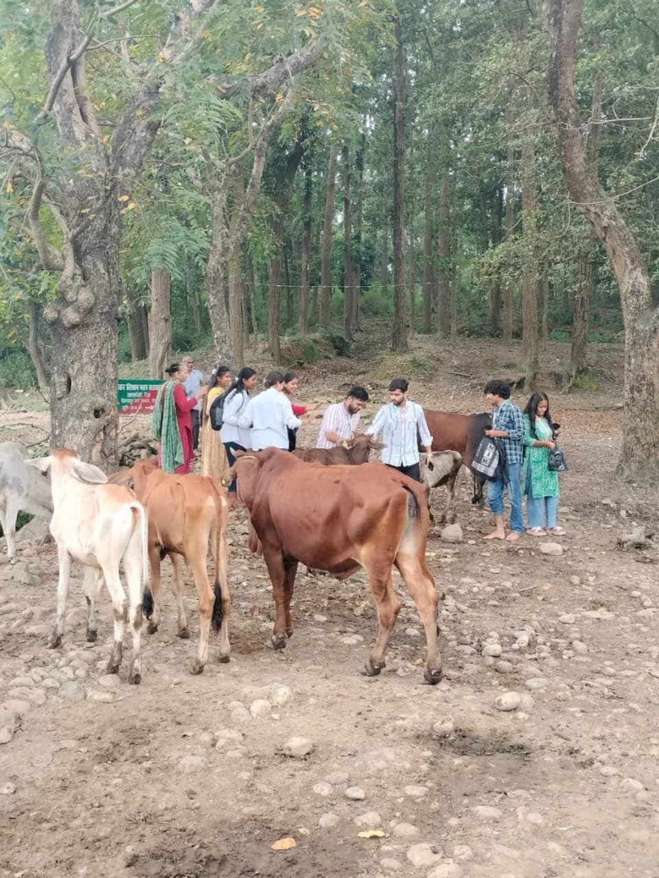 WhatsApp Image 2025-11-21 at 10.42.16