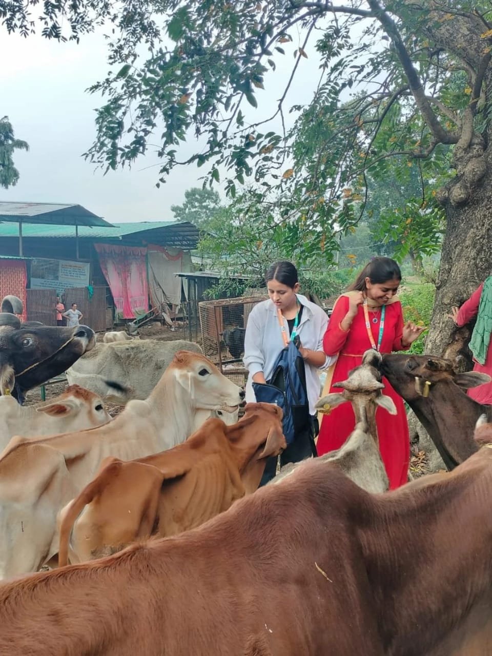 WhatsApp Image 2025-11-21 at 10.42.23 (1)